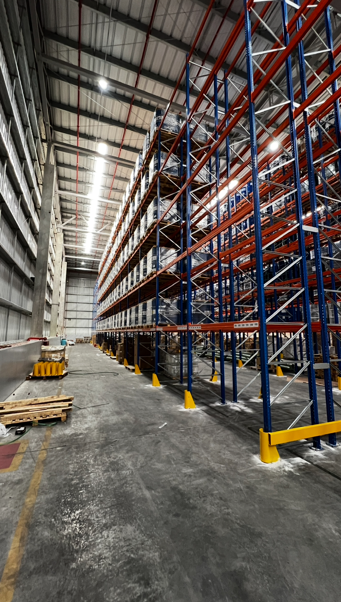 Fischer & Rechsteiner