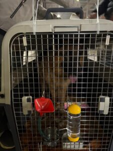 SI Freight Pvt. Ltd.