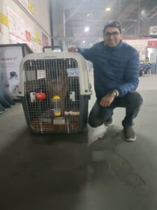 SI Freight Pvt. Ltd.