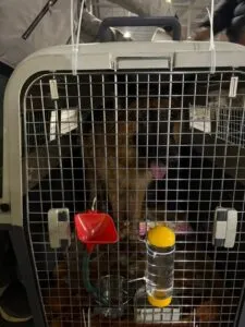 SI Freight Pvt. Ltd.