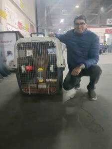 SI Freight Pvt. Ltd.